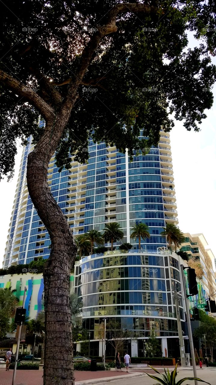 Las Olas Boulevard, Fort Lauderdale