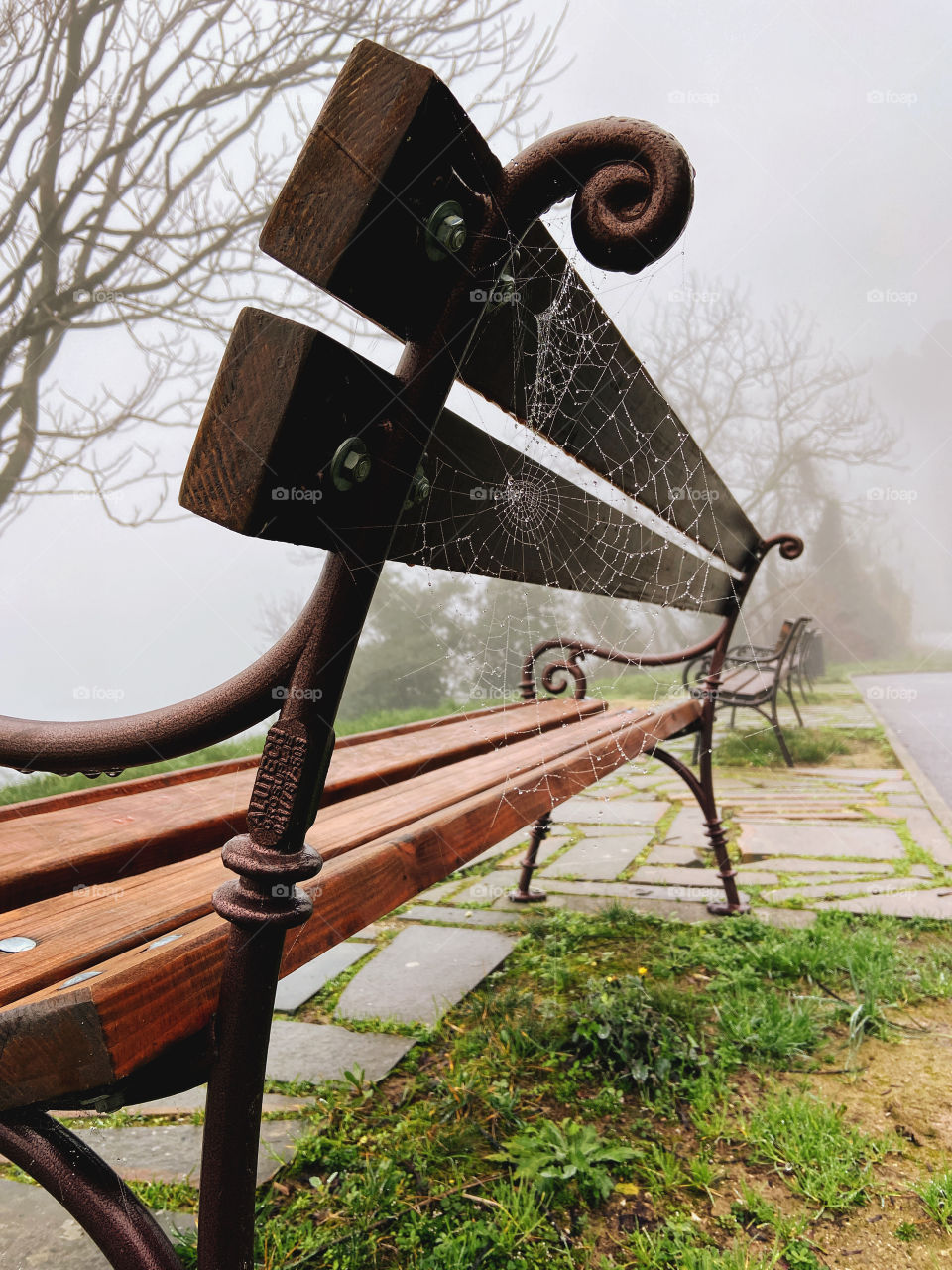 Background from wet cobwebs on a bench close-up on a foggy rainy day. Natural backgrounds.