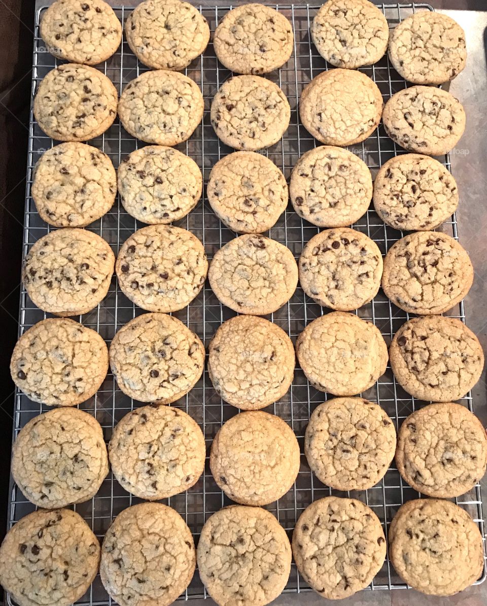 Cookies on a cooling rack 
