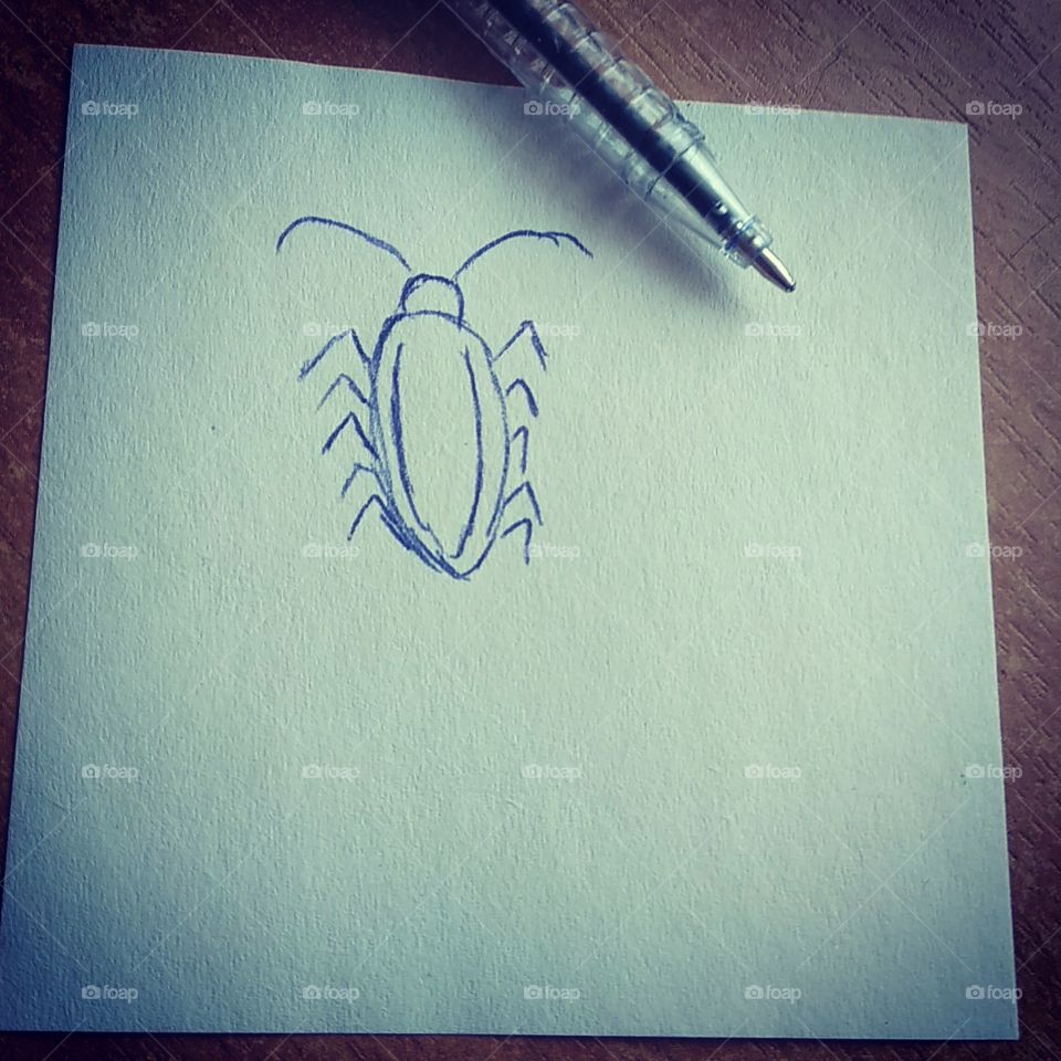 art insect
