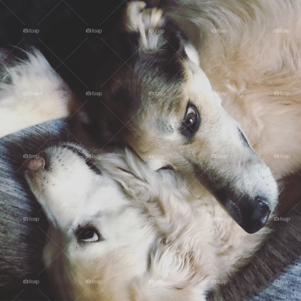 Cuddle party