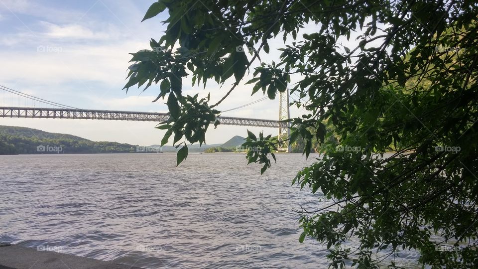 Tree, Water, Travel, No Person, Landscape