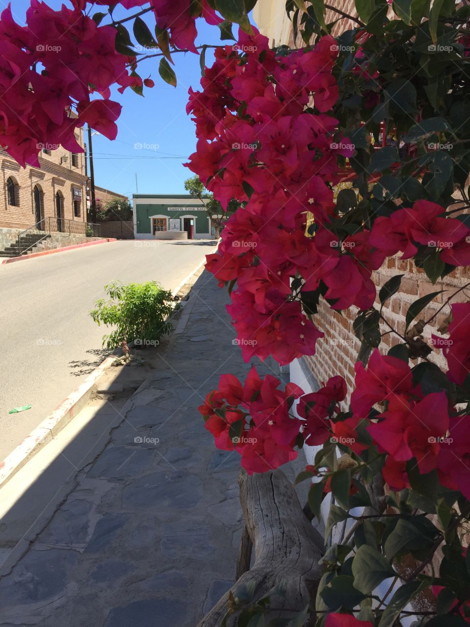 Cabo San Lucas 