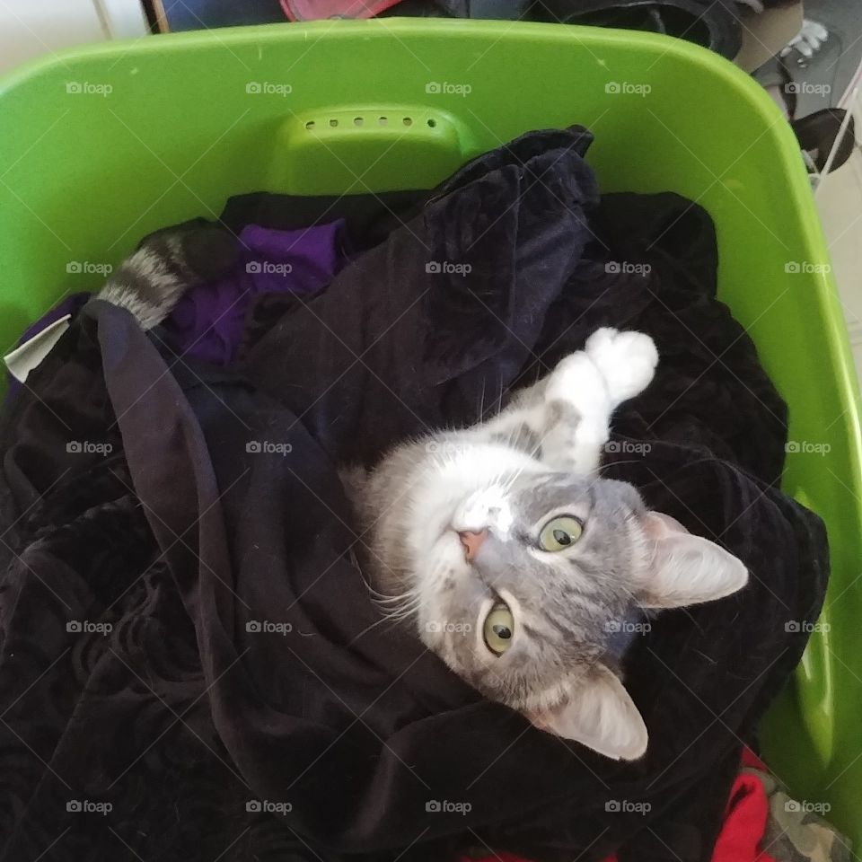 Princess caught in the laundry