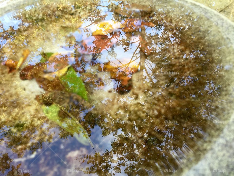  blurry water reflection