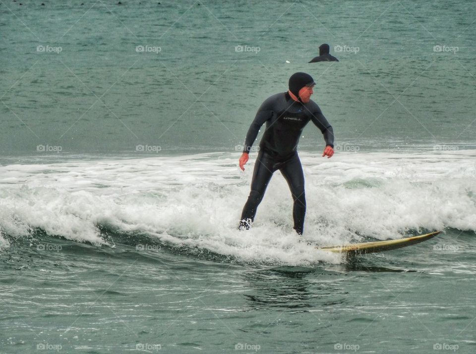 Surfing In A Wetsuit. Coldwater Surfing