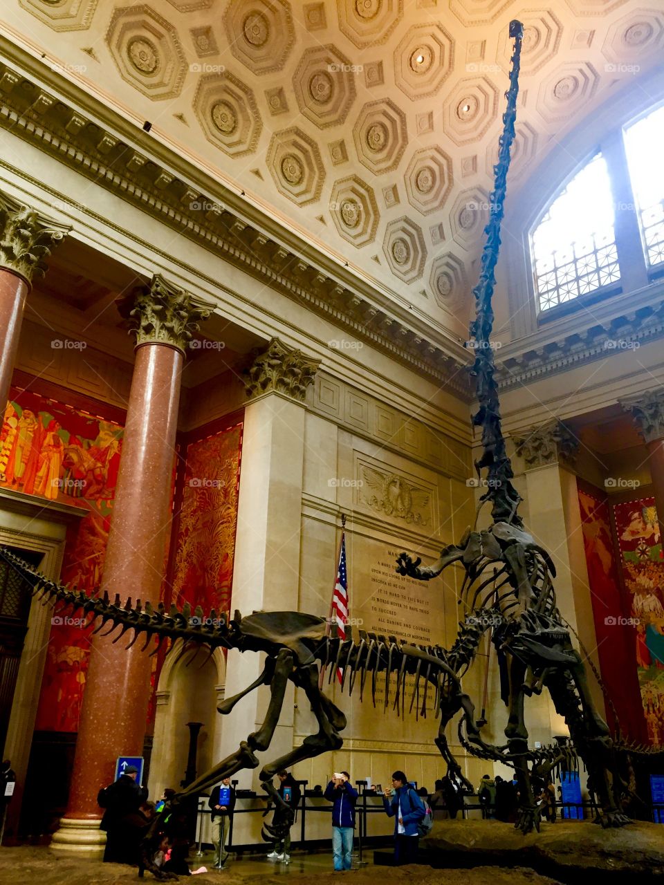 American Museum of Natural History
