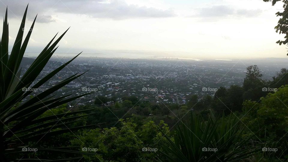 view on kingston jamaica!