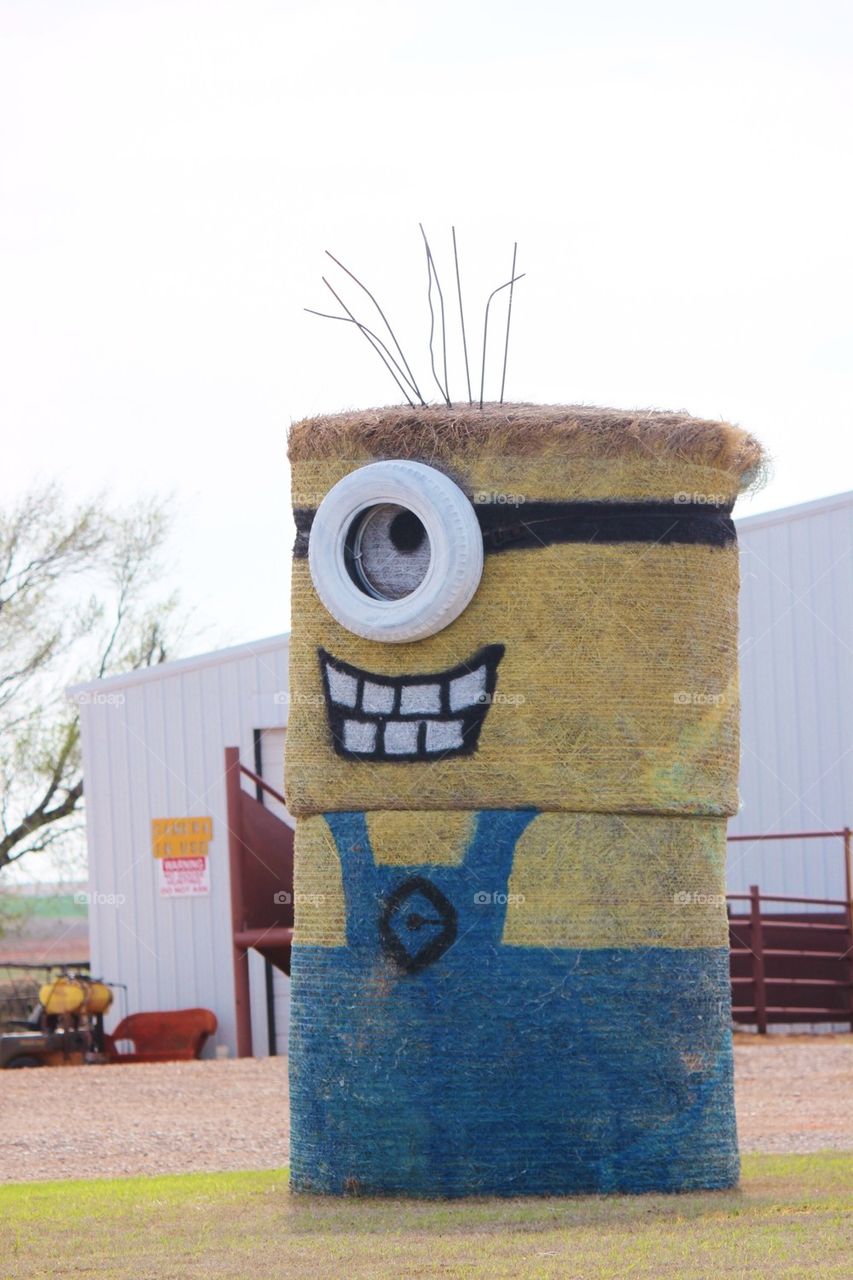 Minion in Hay