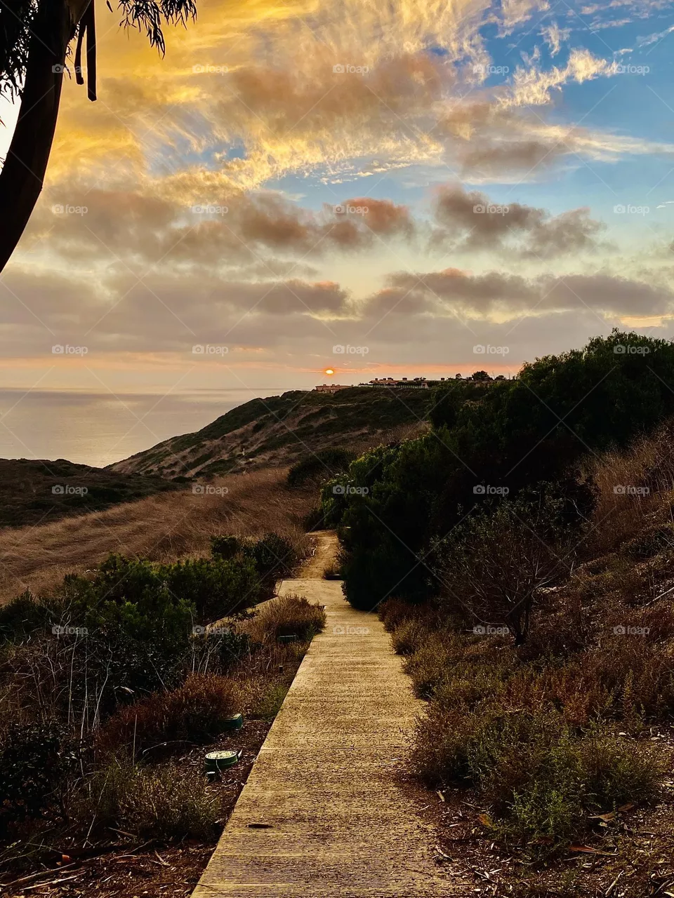 Walking Path at Sunset 