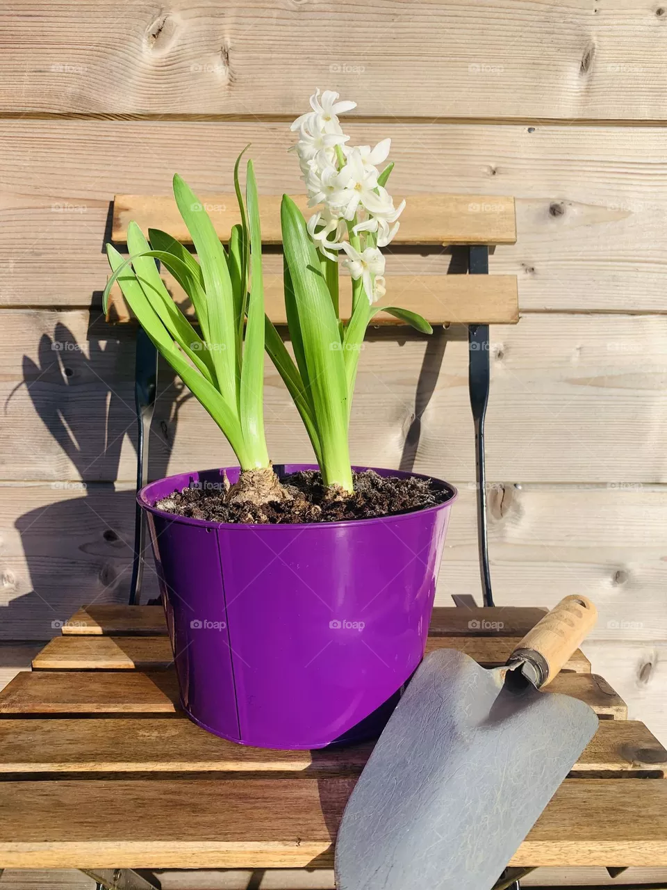 Spring is coming 
