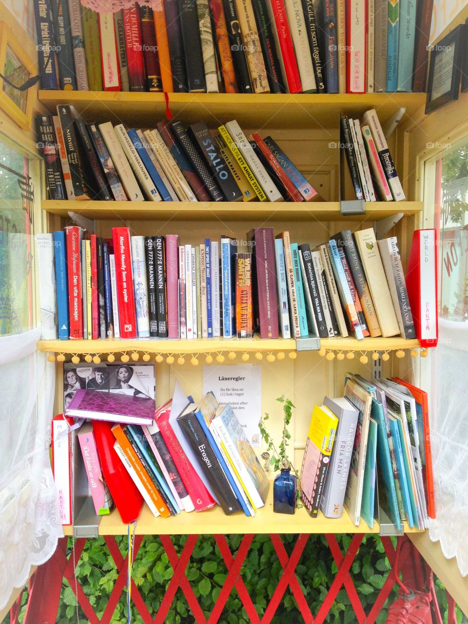 the littlest library