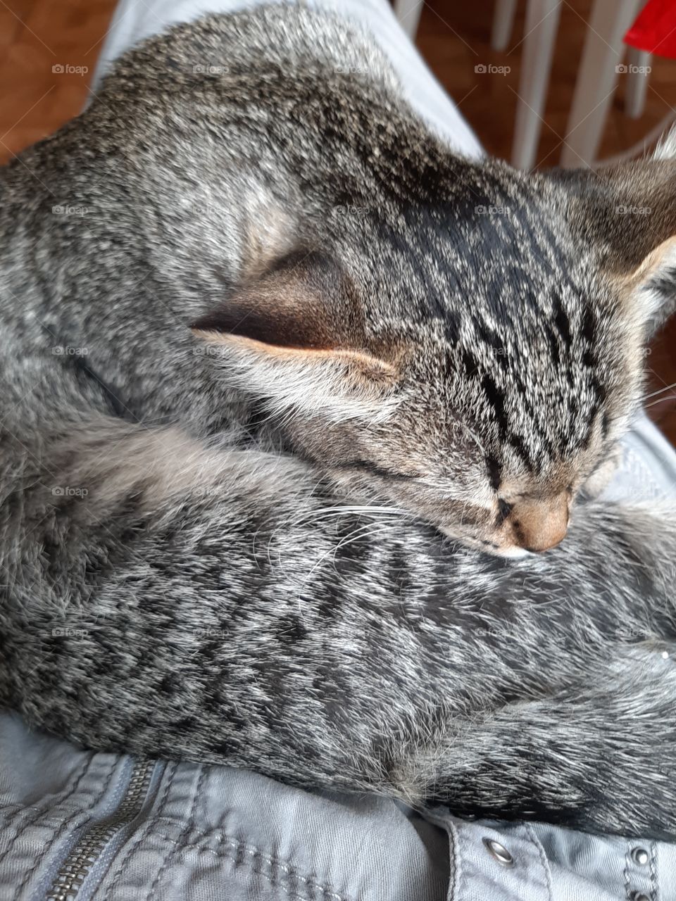 Я   буду   спать,   просьба  не   будить!