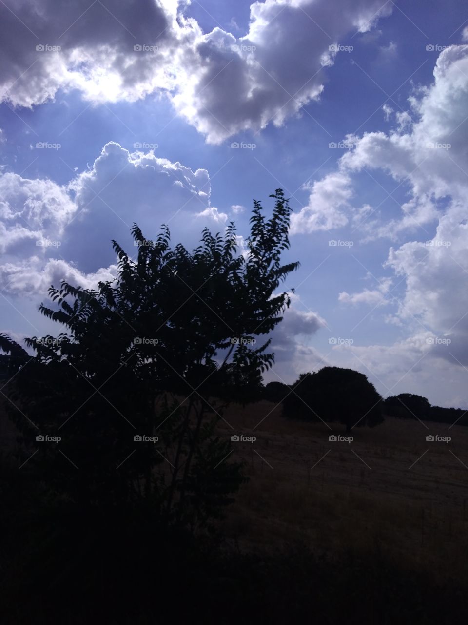 Landscape of Sardinia