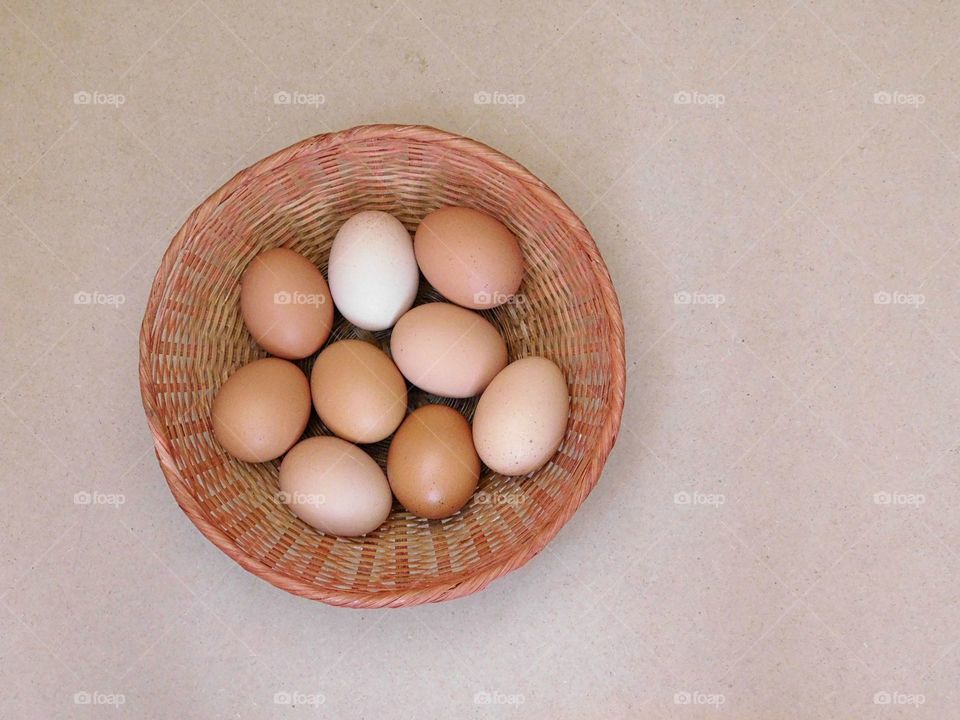 eggs