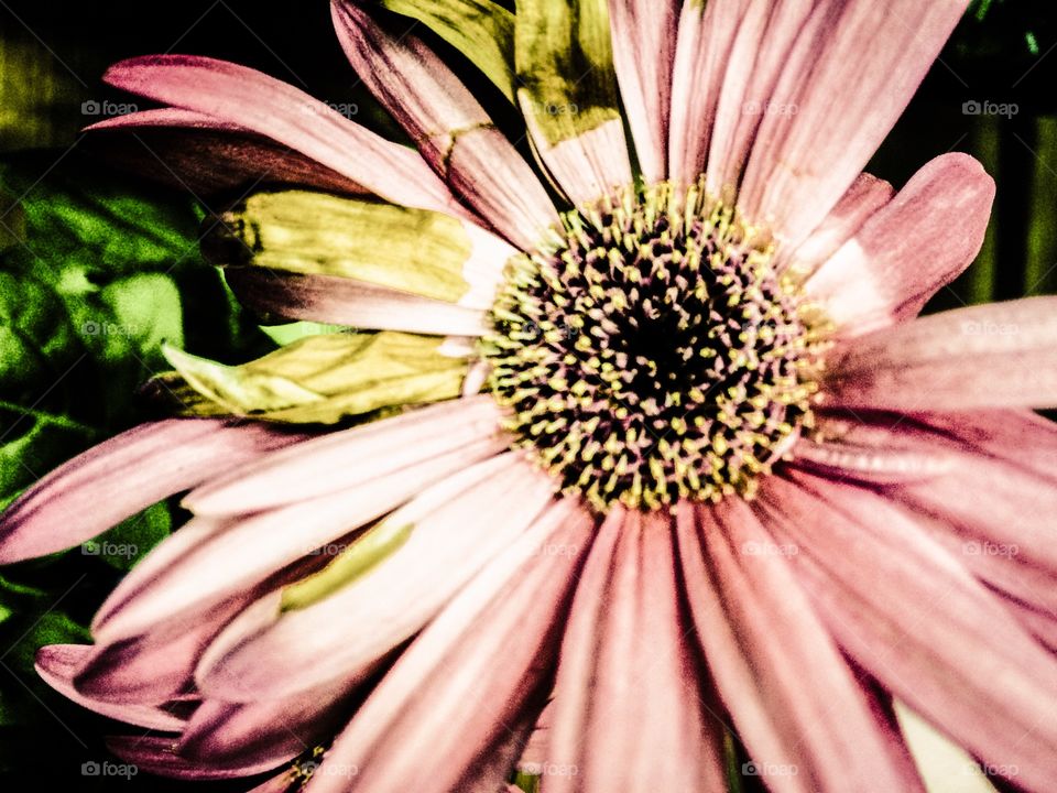 Spring always brings out the best in us. 