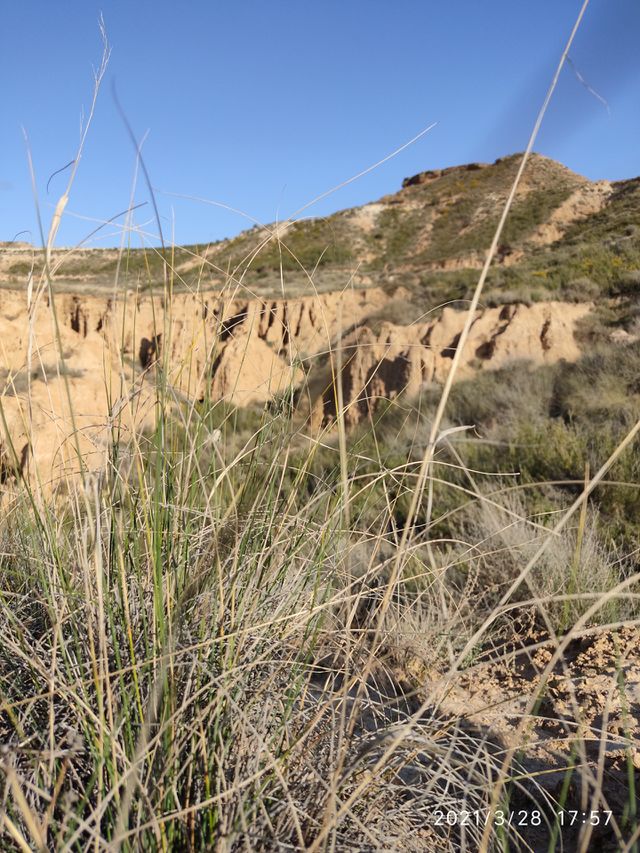 Bardenas