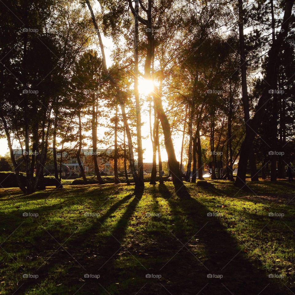 Light will guide you 