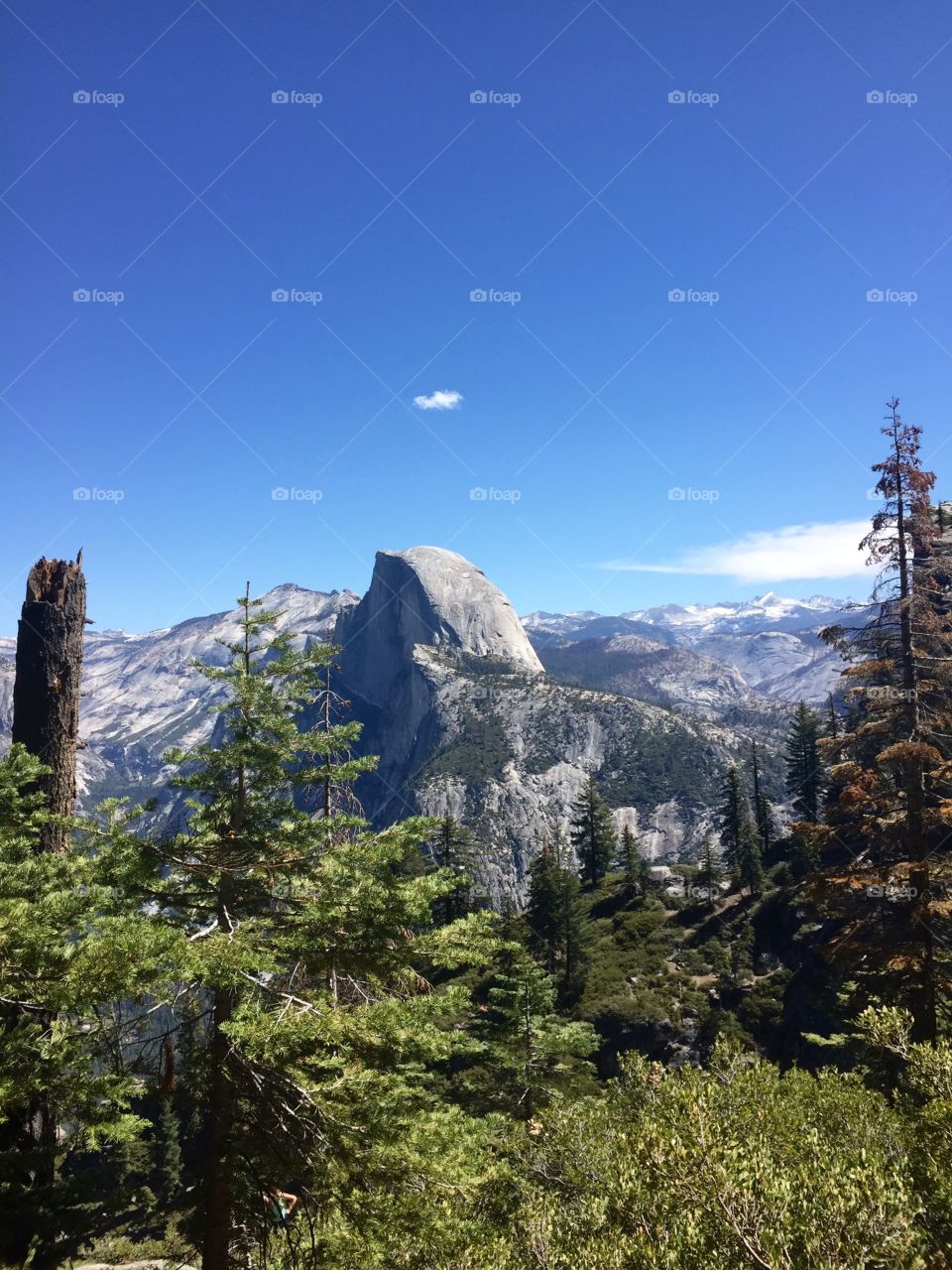 Half dome at Yosemite