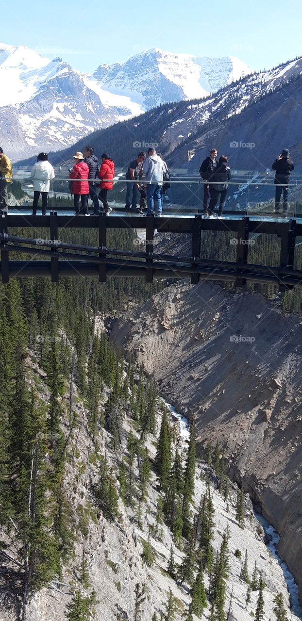 passerelle dans le parc des glaciers canada