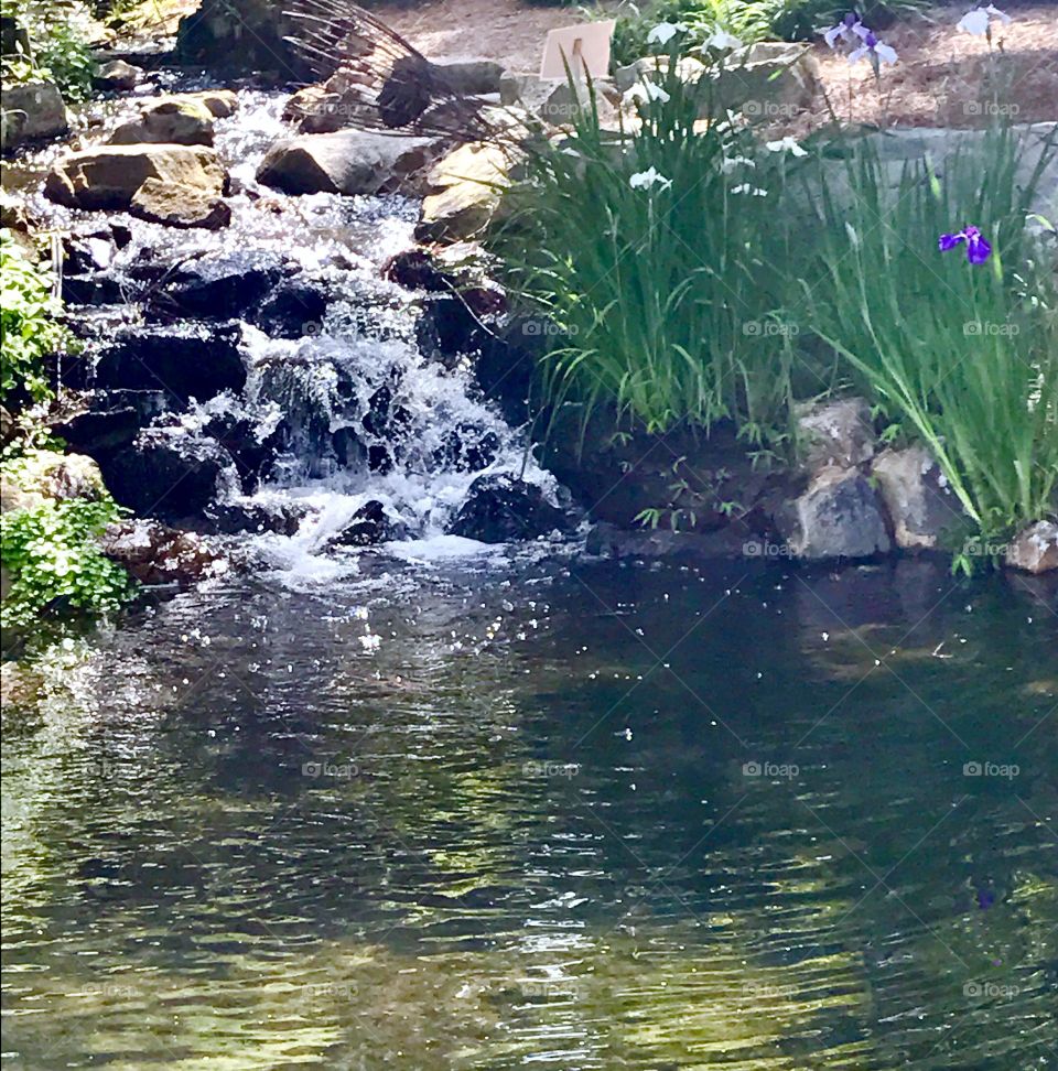 Flowers by Waterfall