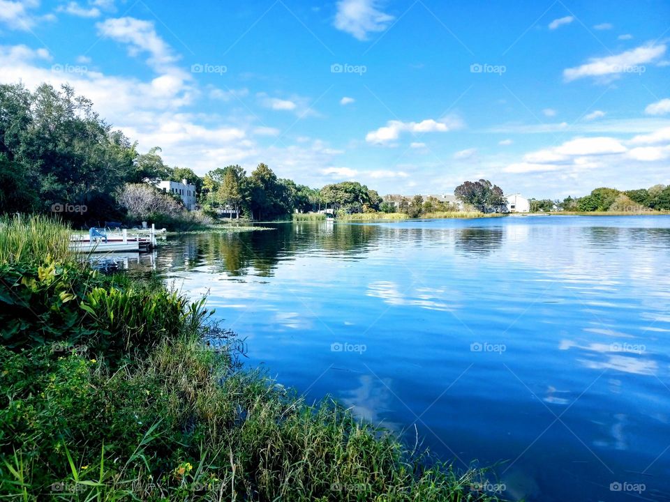 beautiful foliage around lakeshore