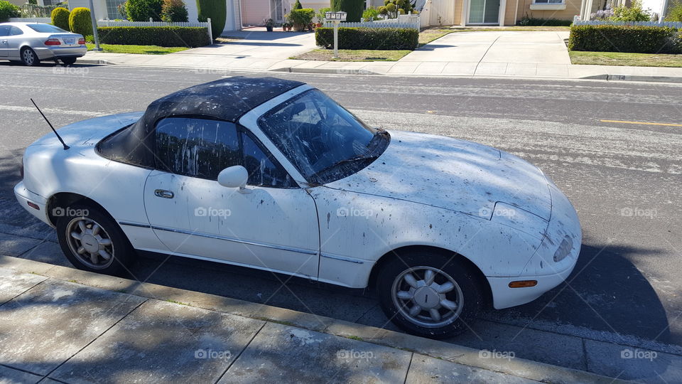 car with bird poop
