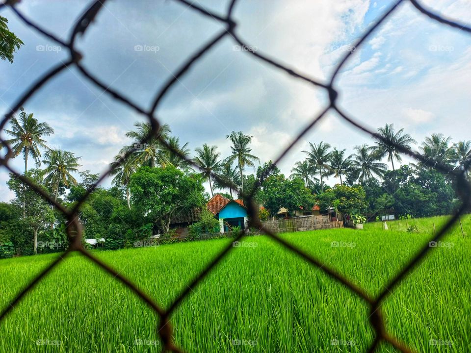 Behind the window is a beautiful natural view