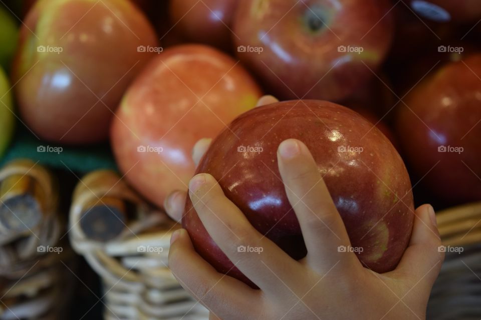 Child's hand picking an apple
