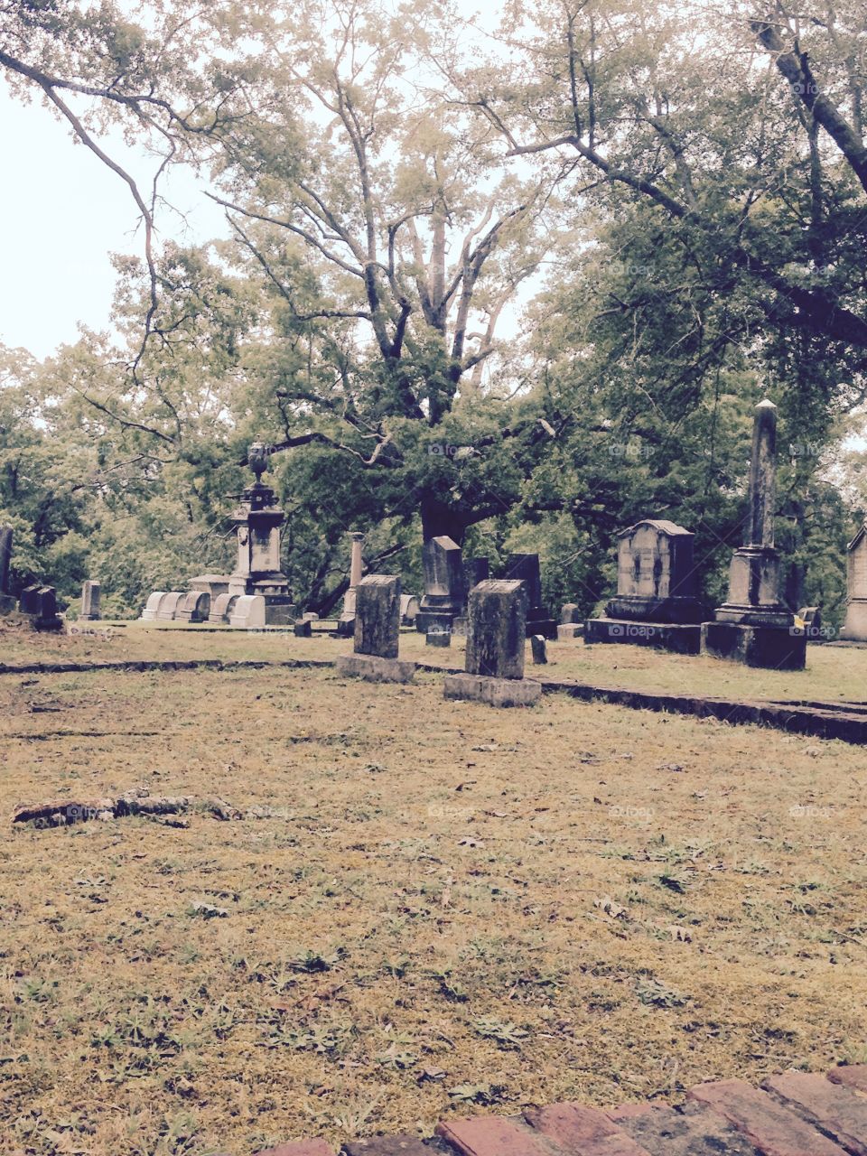 Graveyard, cemetery, tombstone, crypt 
