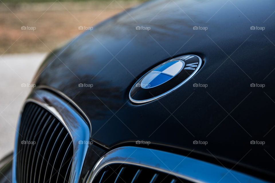 BMW hood logo