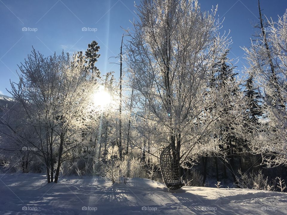 Winter wonderland in BC Canada 