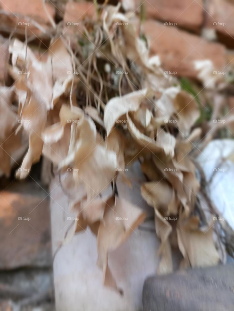 hold on me colours of weather