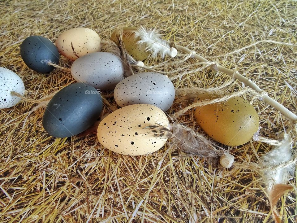 Easter eggs and feathers