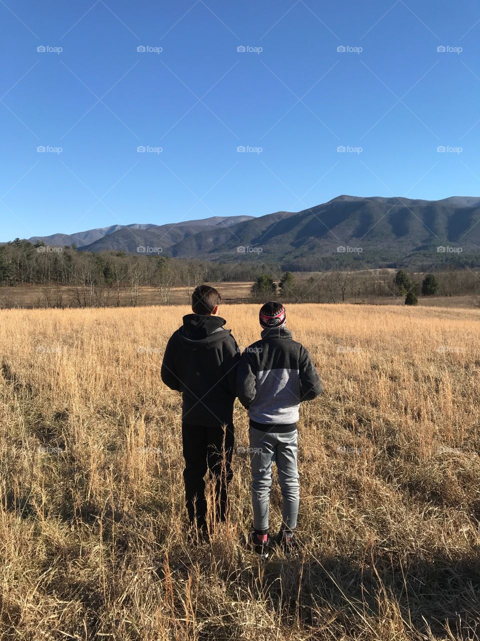 Boys in the field of Smokey Mountains