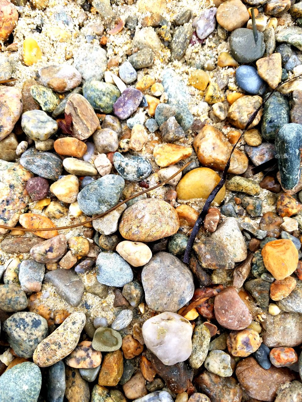 Oceanside rocks