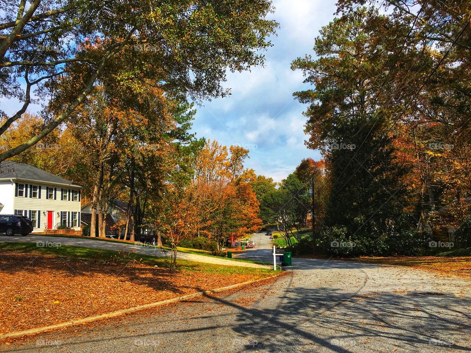 Neighborhood during Fall.