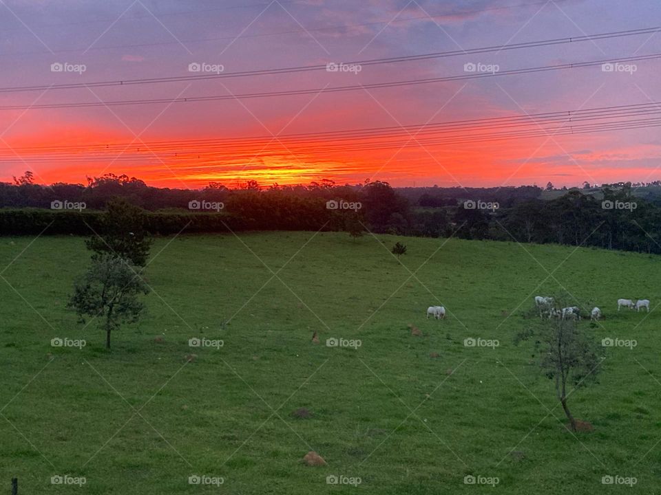 🌇🇺🇸 An extremely beautiful sunset in Jundiaí, interior of Brazil. Cheer the nature! / 🇧🇷 Um entardecer extremamente bonito em Jundiaí, interior do Brasil. Viva a natureza! 
