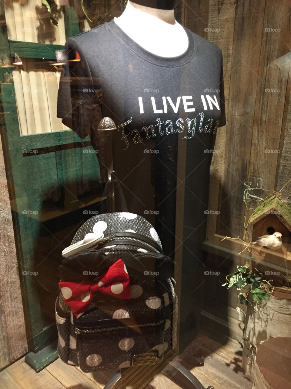 “I Live In Fantasyland” Merchandise For Sale. Disneyland in Anaheim, CA. Copyright © CM Photography. May 2019