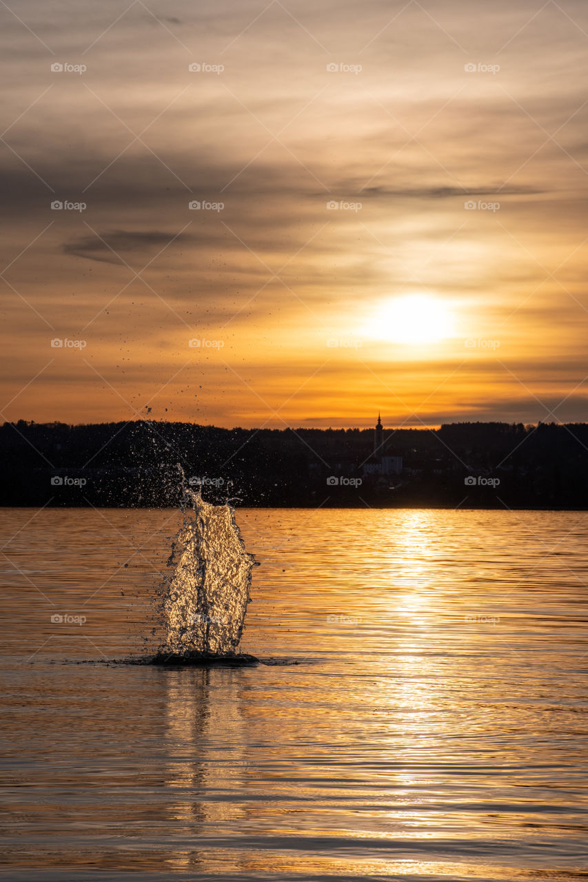 A Water Splash on the Lake