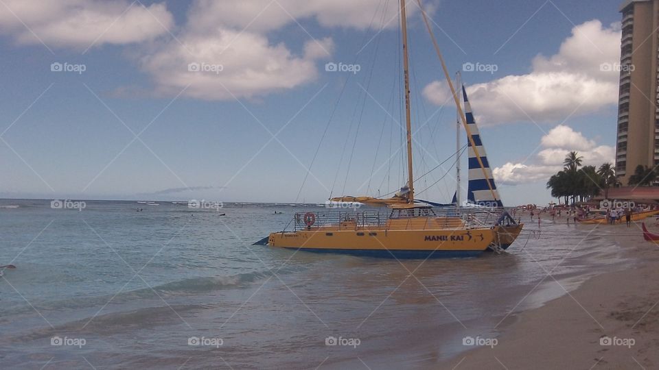 Yellow catamaran in Hawaii. A yellow catamaran on the beach in Hawaii 