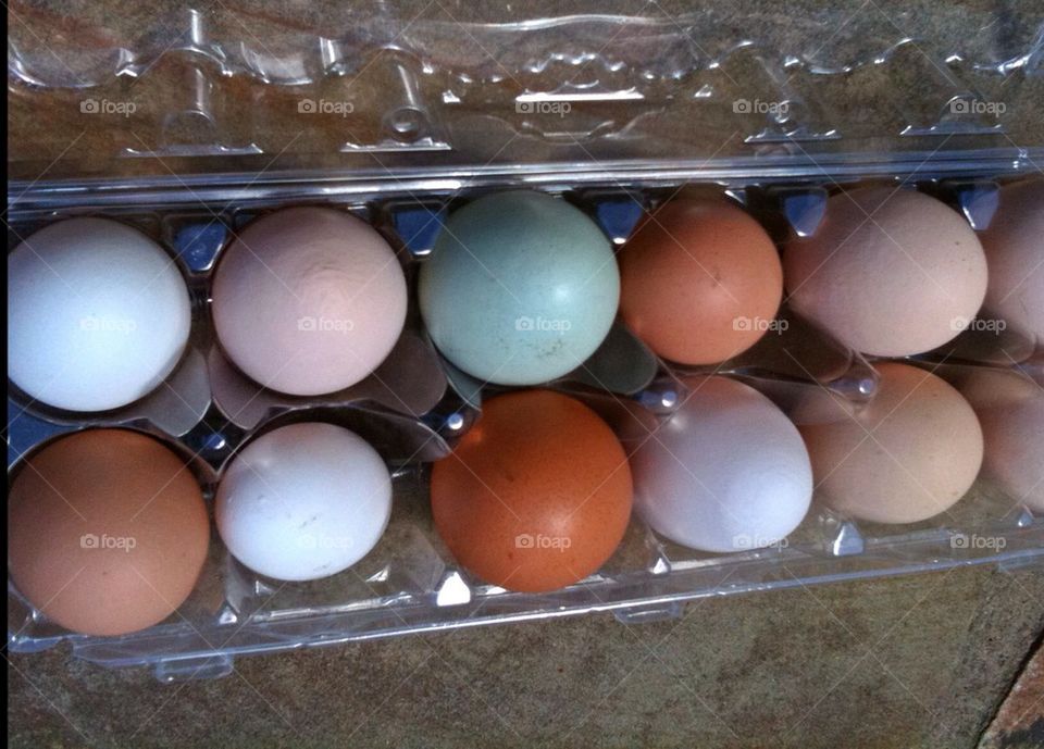 Eclectic Eggs