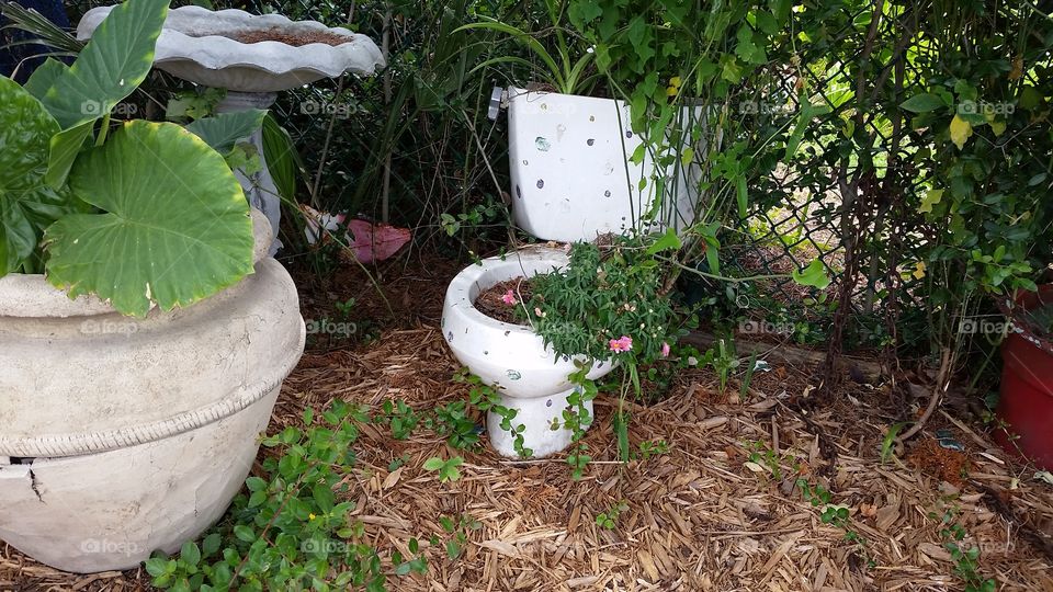 Toilet Planter