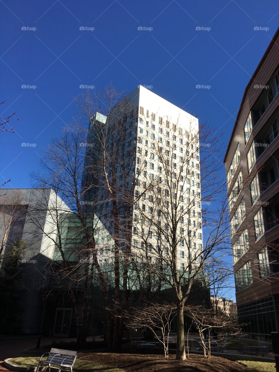 Northeastern University in Boston