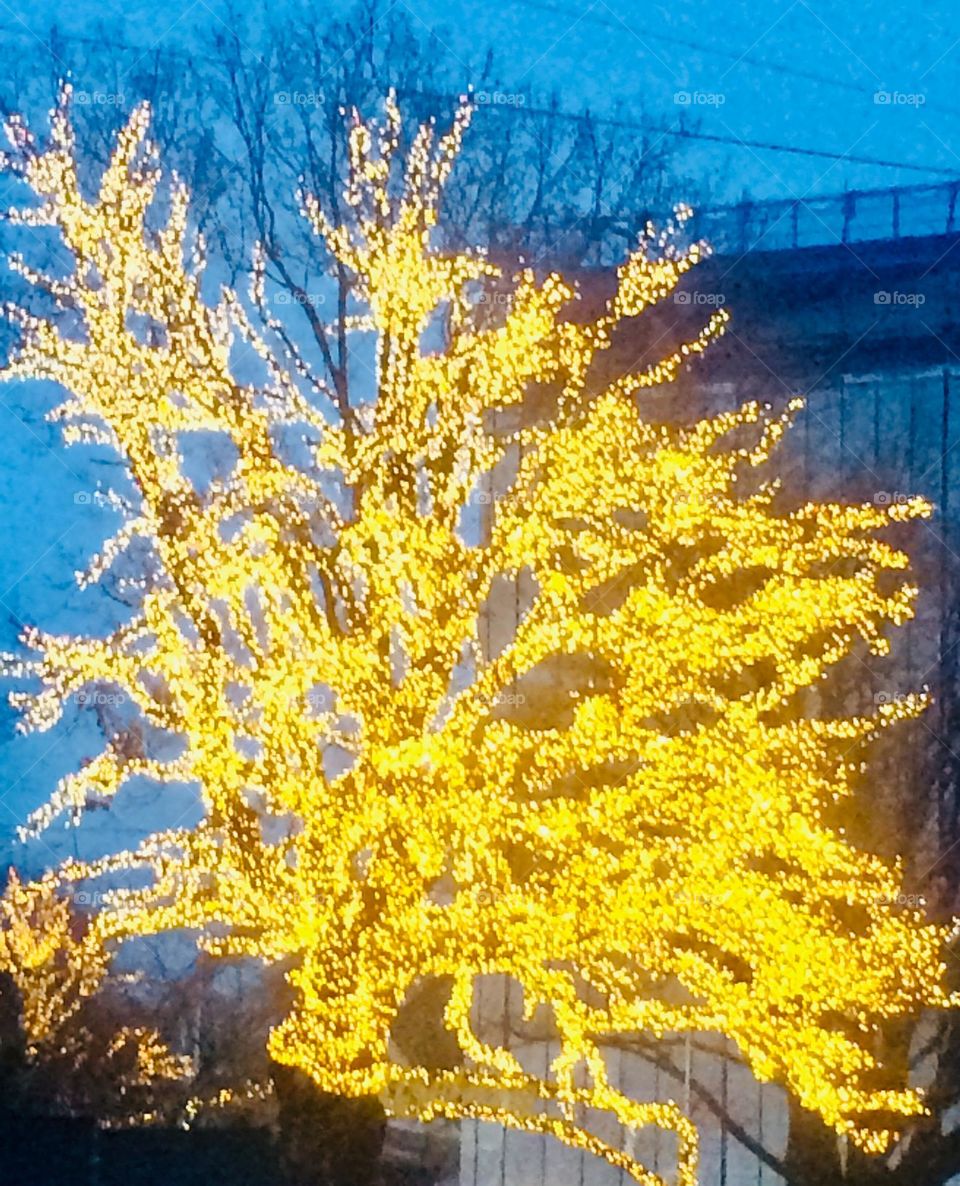 Light tree decor 