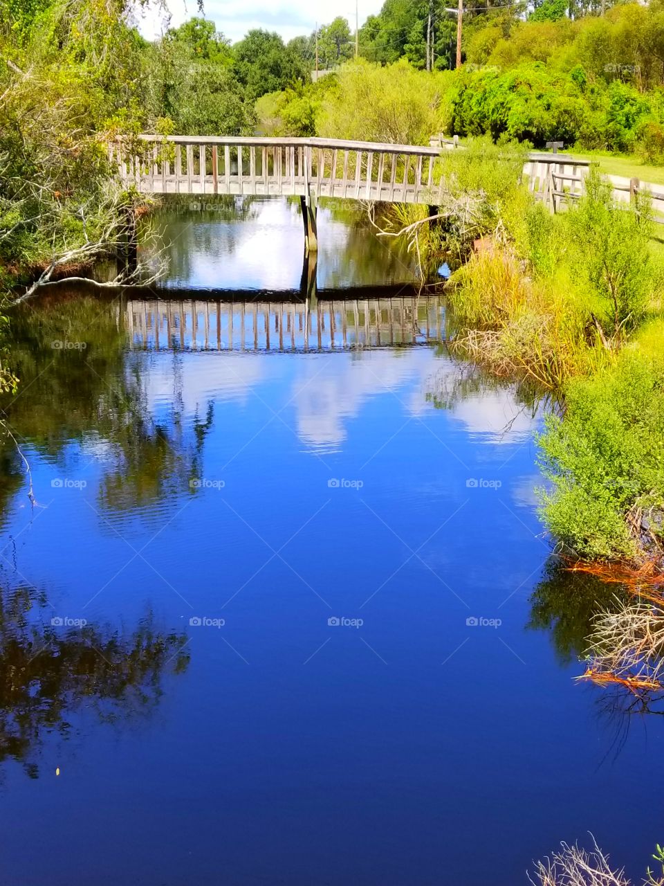 Reflective Bridge