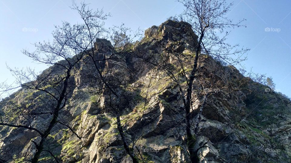 Stone mountain with leafless trees ahead in the forest