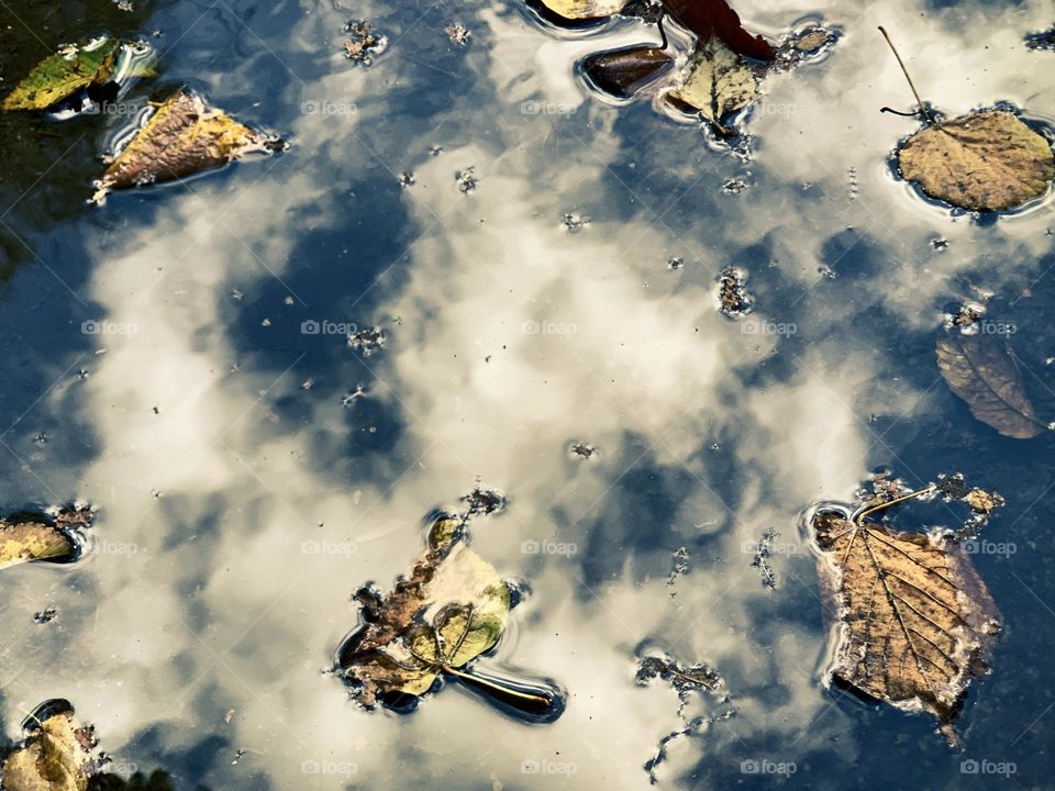 Cloud sky reflections in the puddle