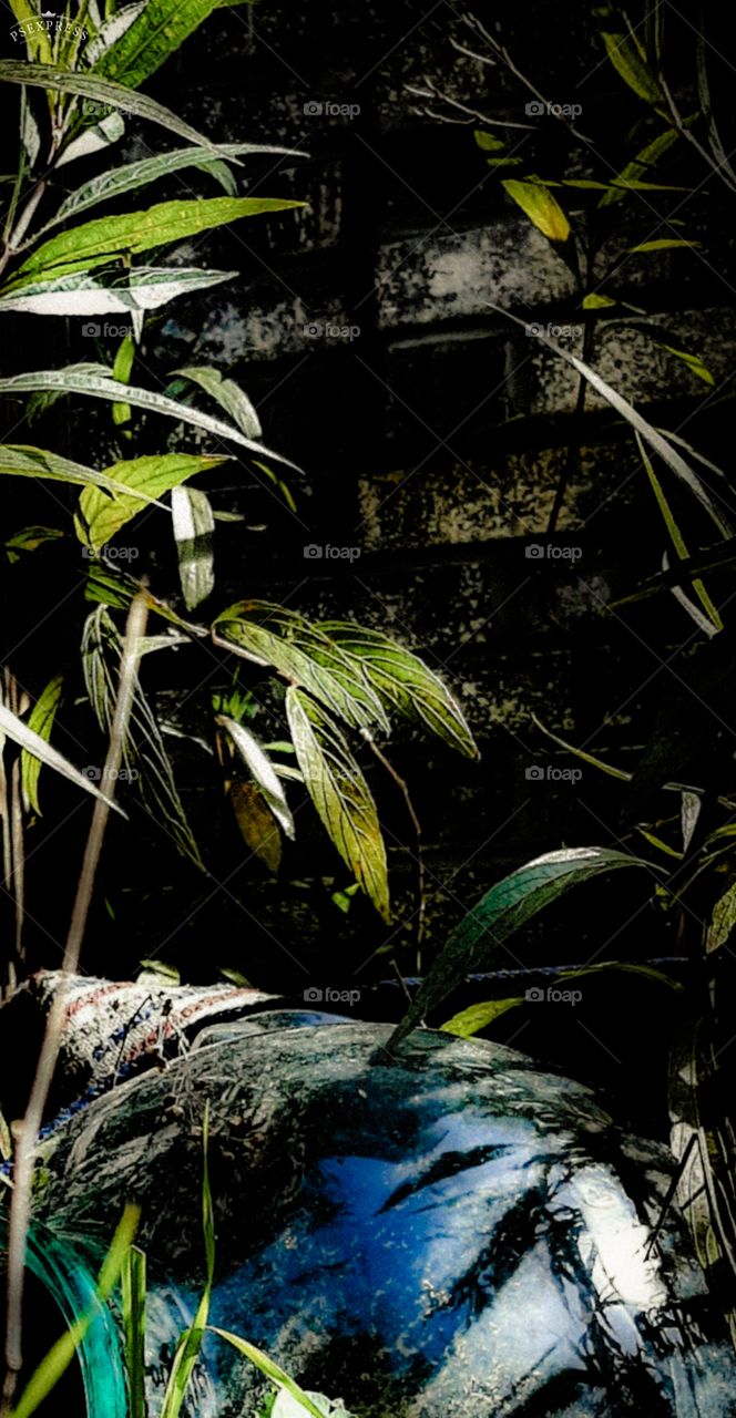 reflection of sky in glass jar