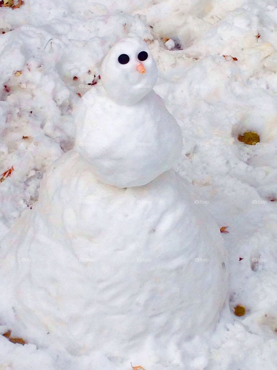 Snowman